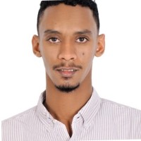 Waleed Ibrahim