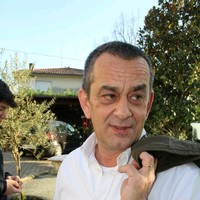 Michele Saran