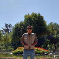 Diego Alonso Gálvez Vizcardo