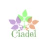 ciadel cabinet