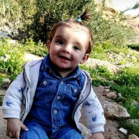 Nardeen Albdour