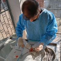 Dr. Jawad Karim