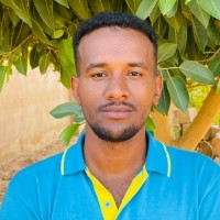 Abubakr Abdelgadir