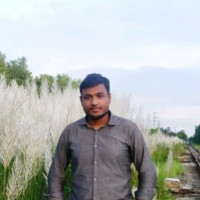G. Azam Mamun