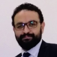 Selim Zidan