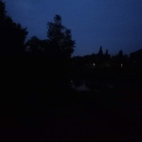 陈扣圣