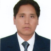 luis fernando palga condori