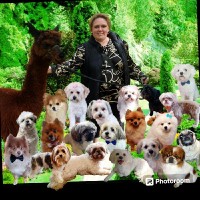 Jacqueline De Jongh