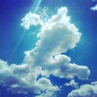 齐俊霞