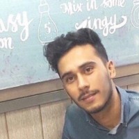 Hamidreza Niazi Shakib