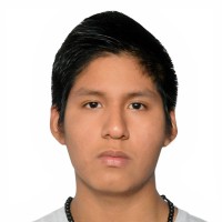 Daniel Enrique Mamani Alca