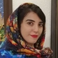 Nasrin Naghilou
