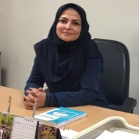 Negin Fallah Haghighi