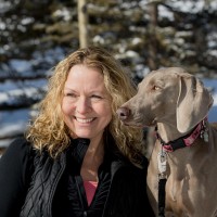 Tamara MacDonald DVM, MSc, DACVS-SA