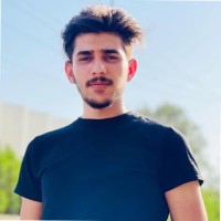 Ali Majed