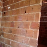 Romario Francisco Da Silva