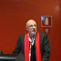 stefano gini