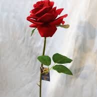 Azam Lotfali