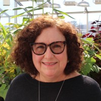 Carole Saravitz