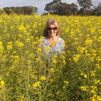 Cherrie Abnett