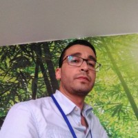 Karim Larbi