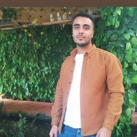 Shawqi Shahin