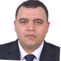 Mohamed Nasr - Msc