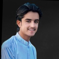 Muhammad Junaid _ Virtual Assistant