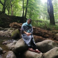Mahdie Iranshahi