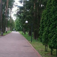 Liel Arens