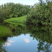 أحمد عبدالعزيز