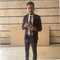 Mohamad A Elghool