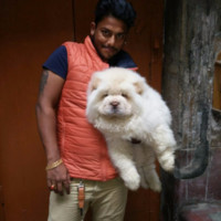 Tapu Saha