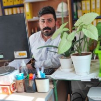 Mohamad Moradi