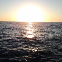 Claudio Colombo - Helvetica Swiss AG