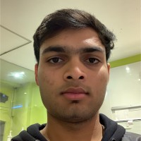 Krushna Borsaniya