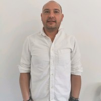 Georgi Mihov