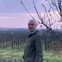 Andrea Baccini