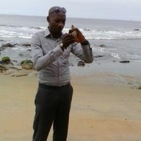 Albert Nloga