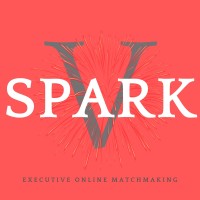 V-SPARK Professionals-Only Matchmaking Services