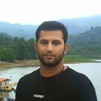 Mohammad Amin Laripour