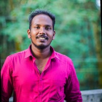 Vijin V