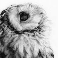 Andres Martinez Meza