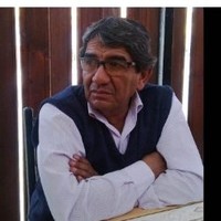 Andrés Opazo Flores