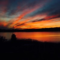 Nicholas Wojciechowski