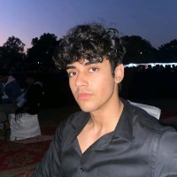 Raj Singha