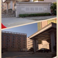 骆加义