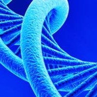 MCLAB (Molecular Cloning Lab)