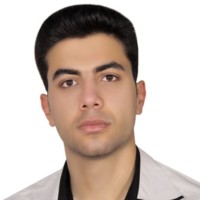majid habibi