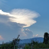 Di benedetto Giovanni